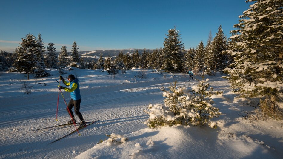 Ski nordic skating House trail Jogllandloipe, St. Jakob im Walde - Touren-Impression #2.2