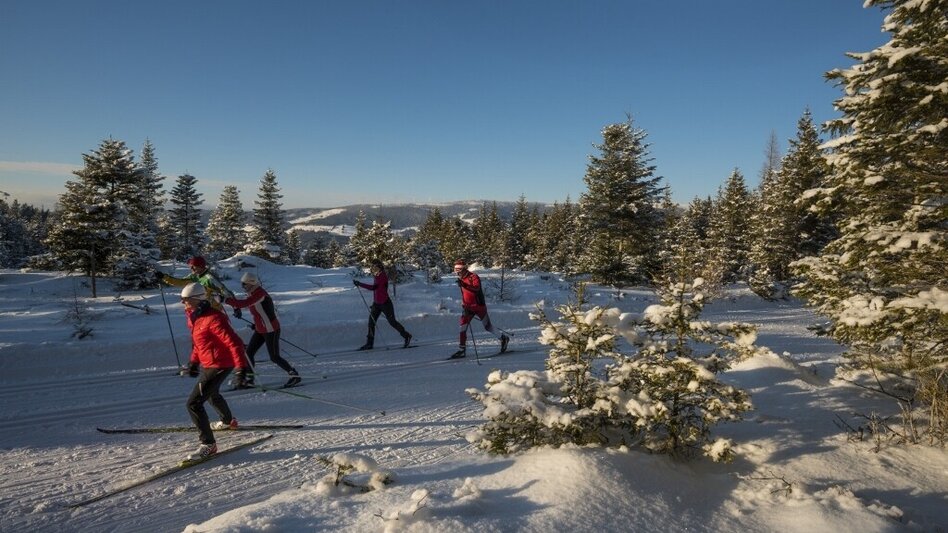 Ski nordic skating House trail Jogllandloipe, St. Jakob im Walde - Touren-Impression #2.3