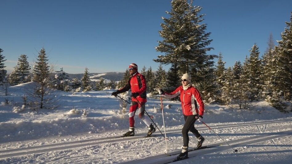 Ski-nordic-classic Höhen-Loipe Jogllandloipe, St. Jakob im Walde - Touren-Impression #2.1 | © GH Orthofer, Bernhard Bergmann