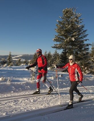 Von der Jogllandloipe zum Hochwechsel | Sarah Schweiger | © GH Orthofer, Bernhard Bergmann