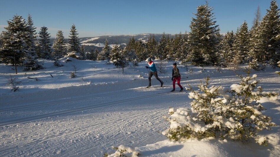 Ski-nordic-classic Höhen-Loipe Jogllandloipe, St. Jakob im Walde - Touren-Impression #2.2