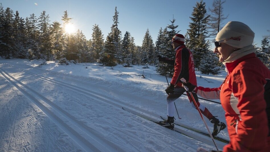 Ski nordic skating Sport trail V Joglland trail, St. Jakob im Walde - Touren-Impression #2.2