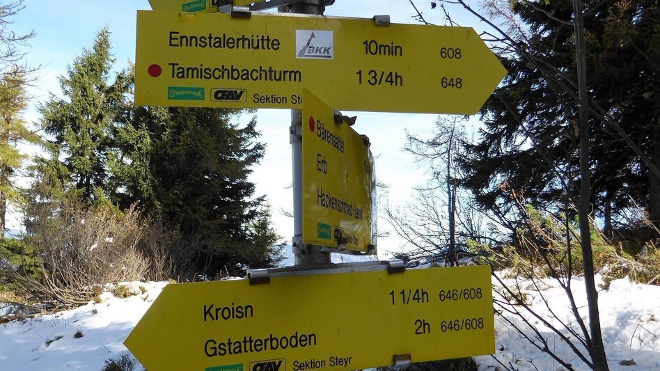 Hiking route From Gstatterboden to the Ennstaler Hütte - Touren-Impression #2.4 | © TV Gesäuse