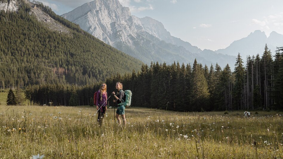 Hiking route From Gstatterboden to the Ennstaler Hütte - Touren-Impression #2.9 | © TV Gesäuse