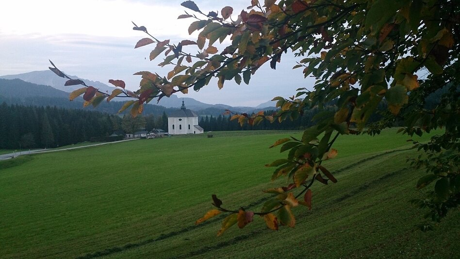 Hiking route Comfortable round hike through the Mariazell countryside - Touren-Impression #2.3 | © TV Hochsteiermark