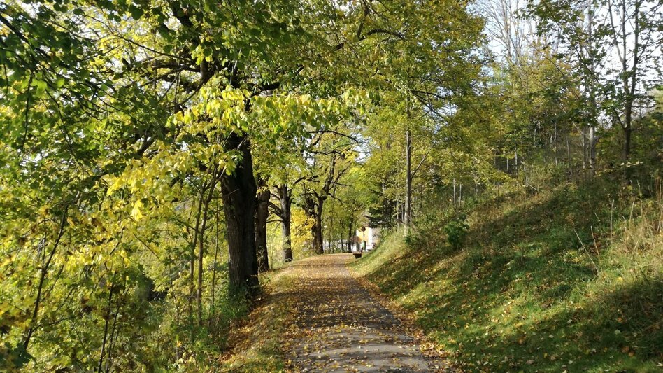 Hiking route Comfortable round hike through the Mariazell countryside - Touren-Impression #2.5 | © TV Hochsteiermark