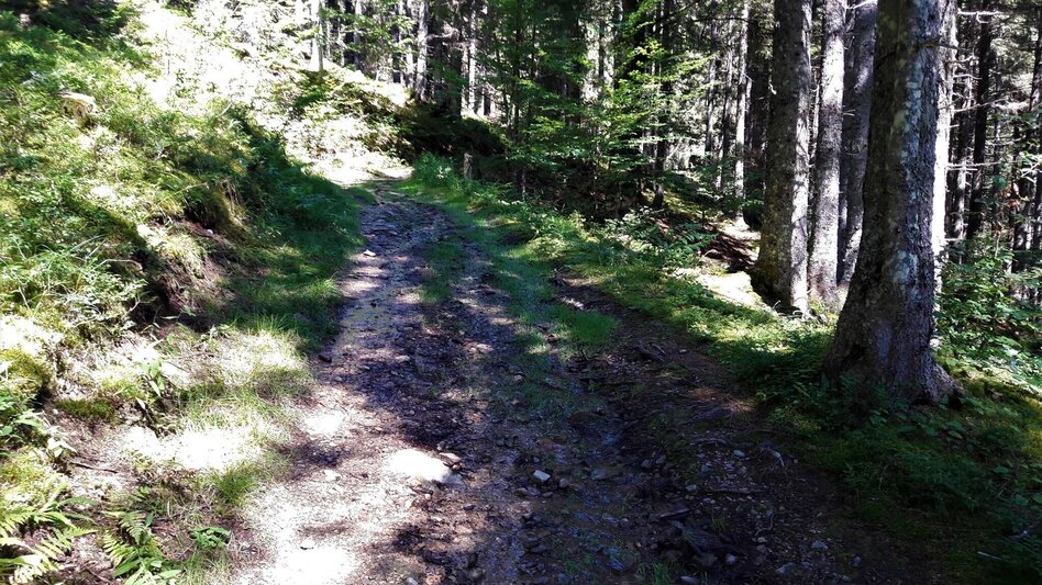Wanderung Spielkogelrunde Johnsbach - Touren-Impression #2.2 | © TV Gesäuse