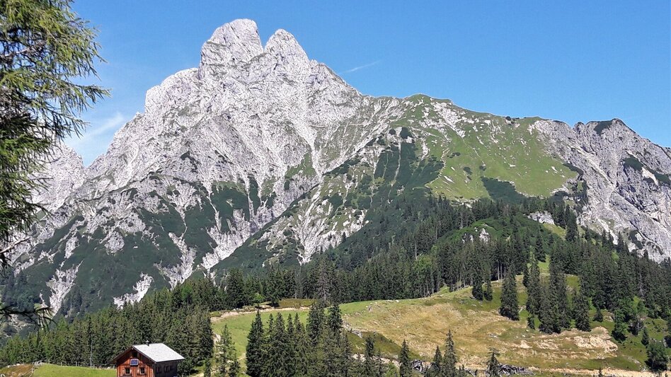 Wanderung Spielkogelrunde Johnsbach - Touren-Impression #2.6 | © TV Gesäuse