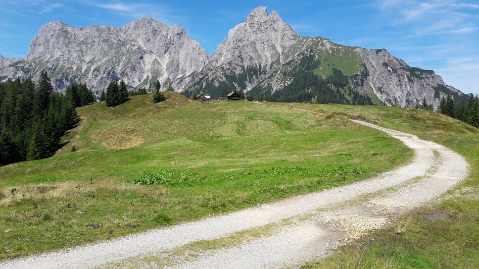 Wanderung Spielkogelrunde Johnsbach - Touren-Impression #2.7 | © TV Gesäuse
