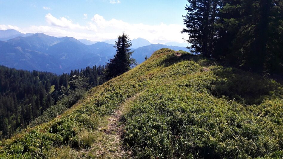 Wanderung Spielkogelrunde Johnsbach - Touren-Impression #2.11 | © TV Gesäuse