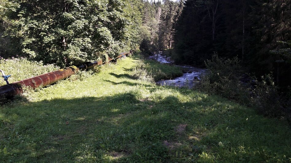 Wanderung Spielkogelrunde Johnsbach - Touren-Impression #2.13 | © TV Gesäuse
