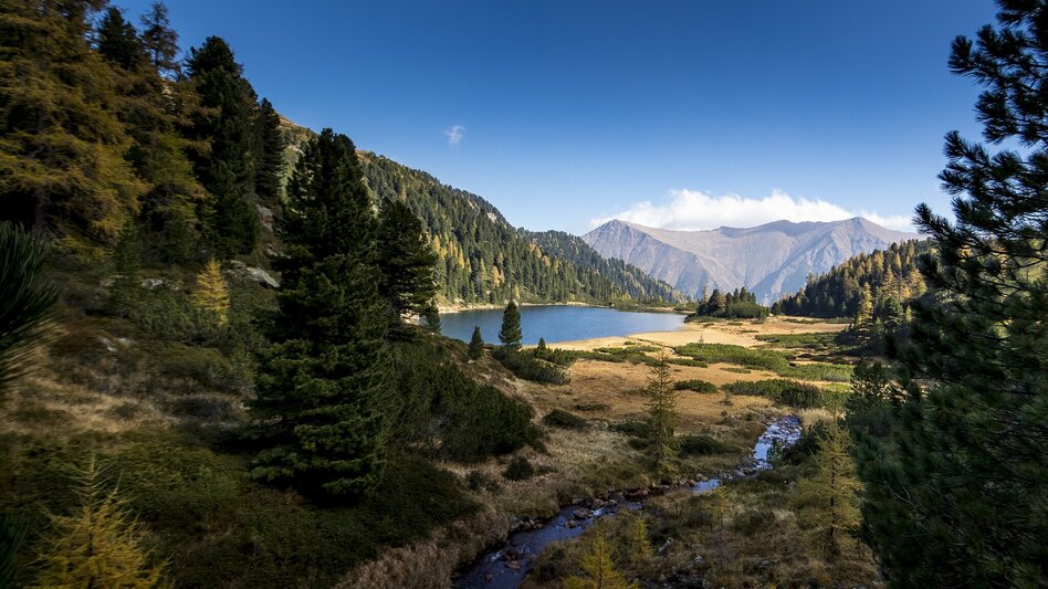 Mountain Hike Eisenhut - Touren-Impression #2.2 | © TVB Murau