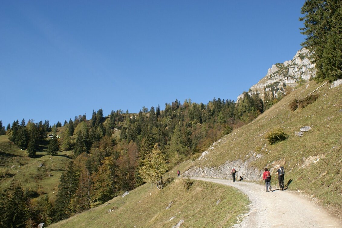 Mountain Hike Grabneralm with Grabnerstein - Touren-Impression #1 | © TV Gesäuse