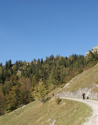 Über die Forststraße auf die Grabneralm | Tourismusverband Gesäuse | © TV Gesäuse