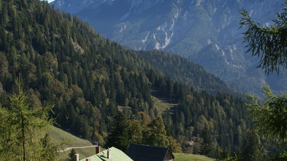 Mountain Hike Grabneralm with Grabnerstein - Touren-Impression #2.5 | © TV Gesäuse