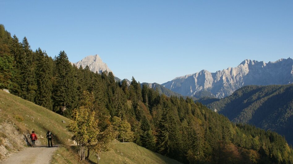Mountain Hike Grabneralm with Grabnerstein - Touren-Impression #2.12 | © TV Gesäuse