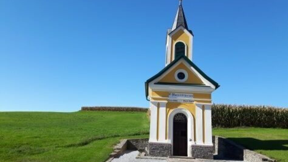 Wanderung Stainztal-Rundweg Nr. 16 - Touren-Impression #2.2 | © TVB Südsteiermark/Anton Albrecher