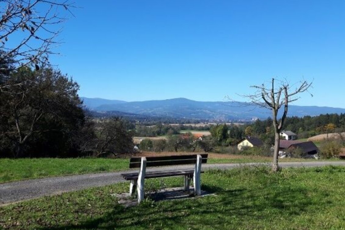 Wanderung Stainztal-Rundweg Nr. 16 - Touren-Impression #1 | © TVB Südsteiermark/Anton Albrecher