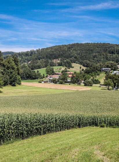 Kloster in der Dult (c) Gasser Werner | © Region Graz | Meike Brucher | © Region Graz