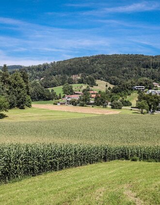 Kloster in der Dult (c) Gasser Werner | Meike Brucher | © Region Graz