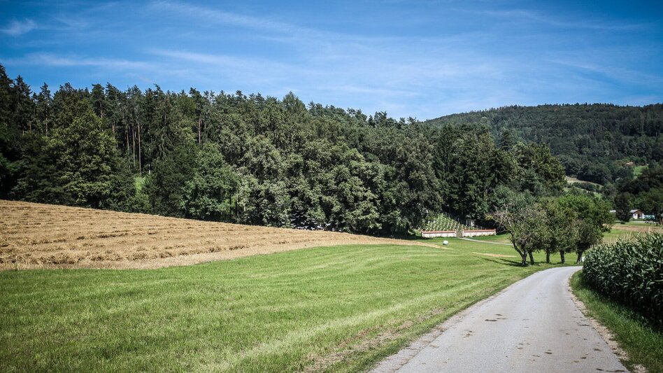 Wanderung Auf die Rannach und hinunter in die Dult - Touren-Impression #2.3 | © Region Graz