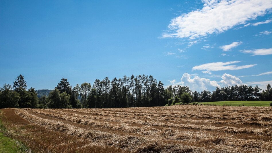 Wanderung Auf die Rannach und hinunter in die Dult - Touren-Impression #2.4 | © Region Graz