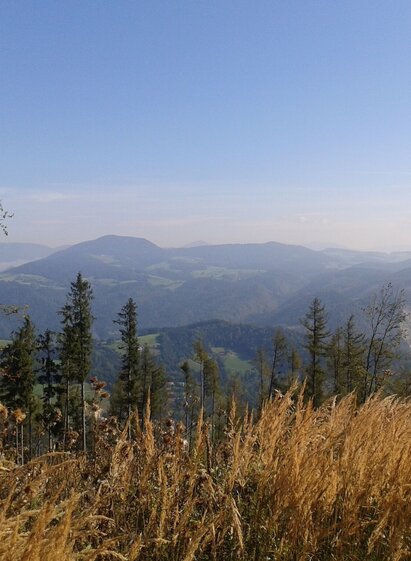 Ausblick vom Schartnerkogel Richtung Norden | © Region Graz | Meike Brucher | © Region Graz