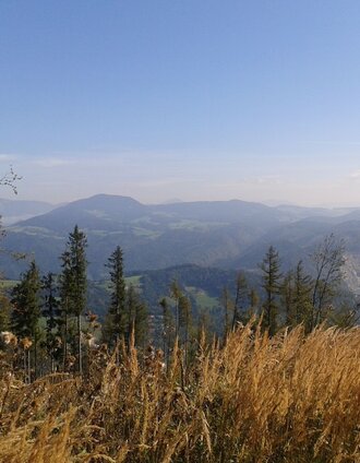 Ausblick vom Schartnerkogel Richtung Norden | Meike Brucher | © Region Graz
