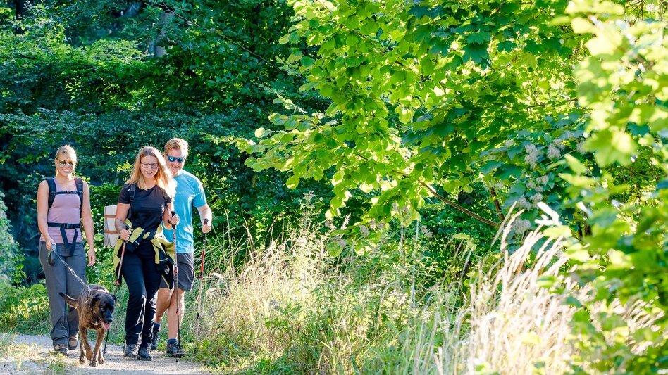 Wanderung Schartnerkogel und Gamskogel Rundwanderung - Touren-Impression #2.7 | © Region Graz