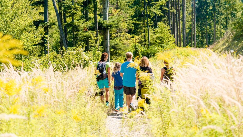 Wanderung Schartnerkogel und Gamskogel Rundwanderung - Touren-Impression #2.8 | © Region Graz