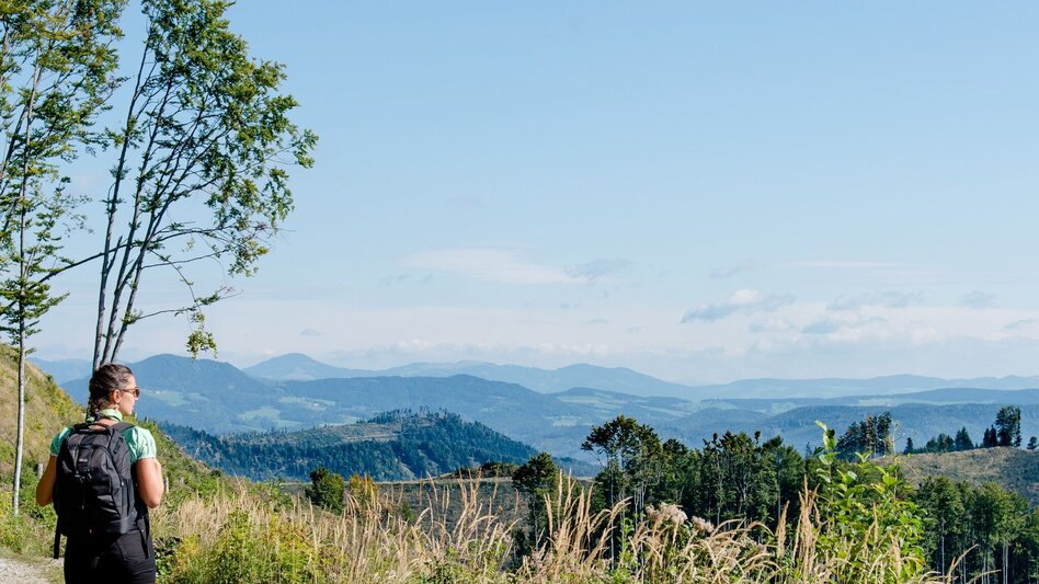 Wanderung Entlang der Vier-Tausender - Touren-Impression #2.1 | © Region Graz