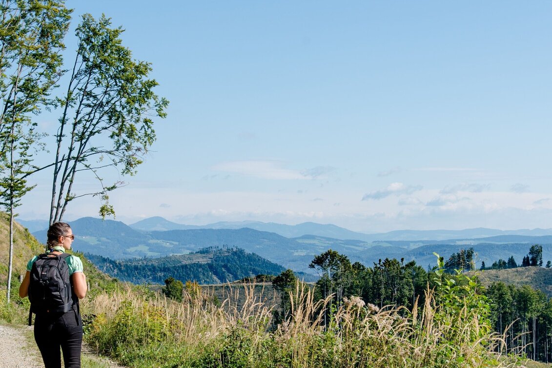 Wanderung Entlang der Vier-Tausender - Touren-Impression #1 | © Region Graz