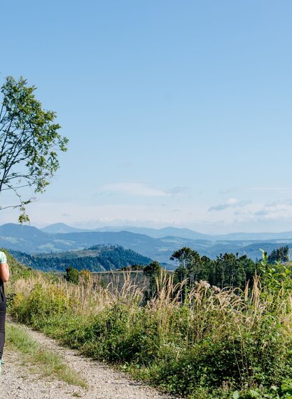 Weg vom Plesch Richtung Mühlbacher Hütte (c) TV OberGraz-Mias PhotoArt | © Region Graz | Meike Brucher | © Region Graz