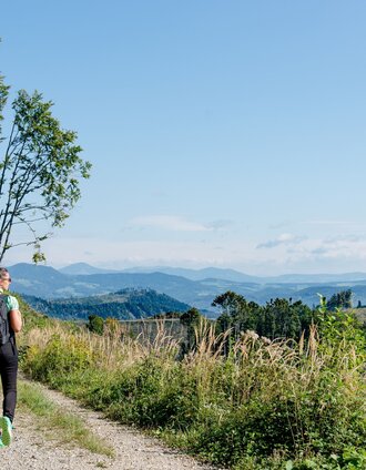 Weg vom Plesch Richtung Mühlbacher Hütte (c) TV OberGraz-Mias PhotoArt | Meike Brucher | © Region Graz