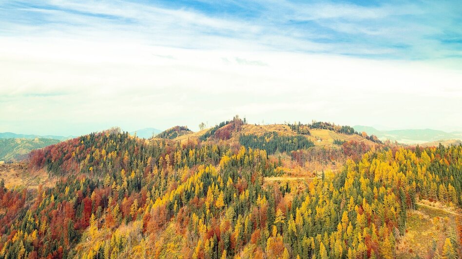 Wanderung Entlang der Vier-Tausender - Touren-Impression #2.2 | © Region Graz