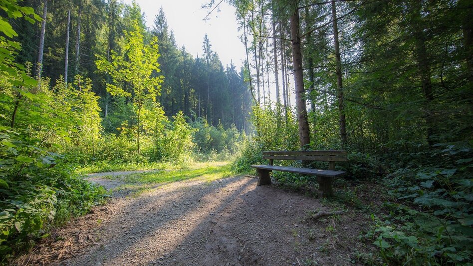Wanderung Rein ist Vergnügen - Touren-Impression #2.1 | © Region Graz