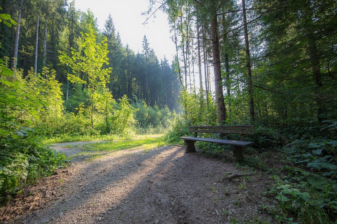 Wanderung Rein ist Vergnügen - Touren-Impression #1 | © Region Graz
