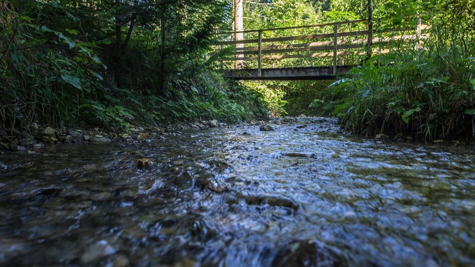 Wanderung Rein ist Vergnügen - Touren-Impression #2.2 | © Region Graz