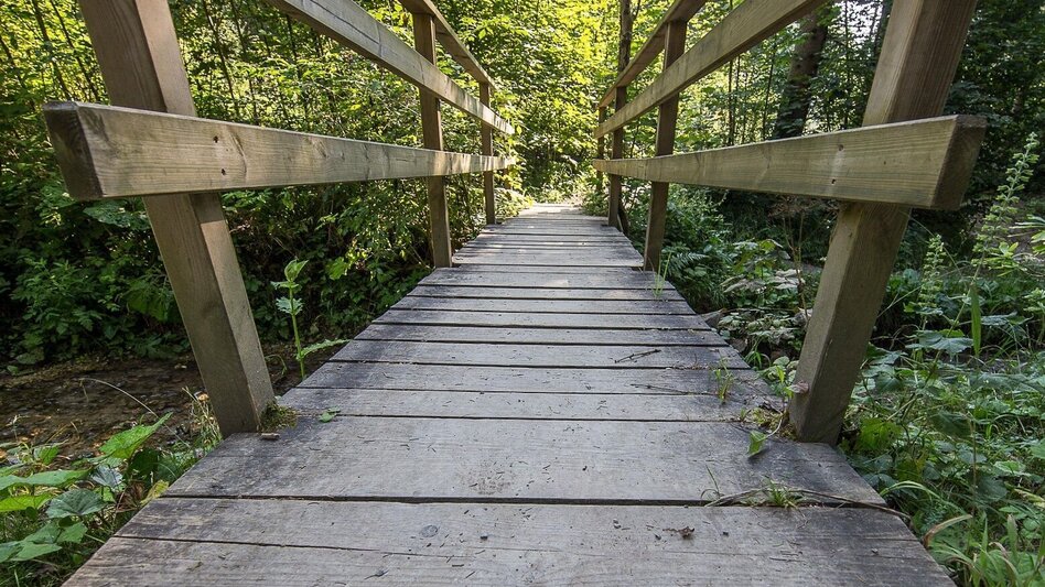 Wanderung Rein ist Vergnügen - Touren-Impression #2.3 | © Region Graz