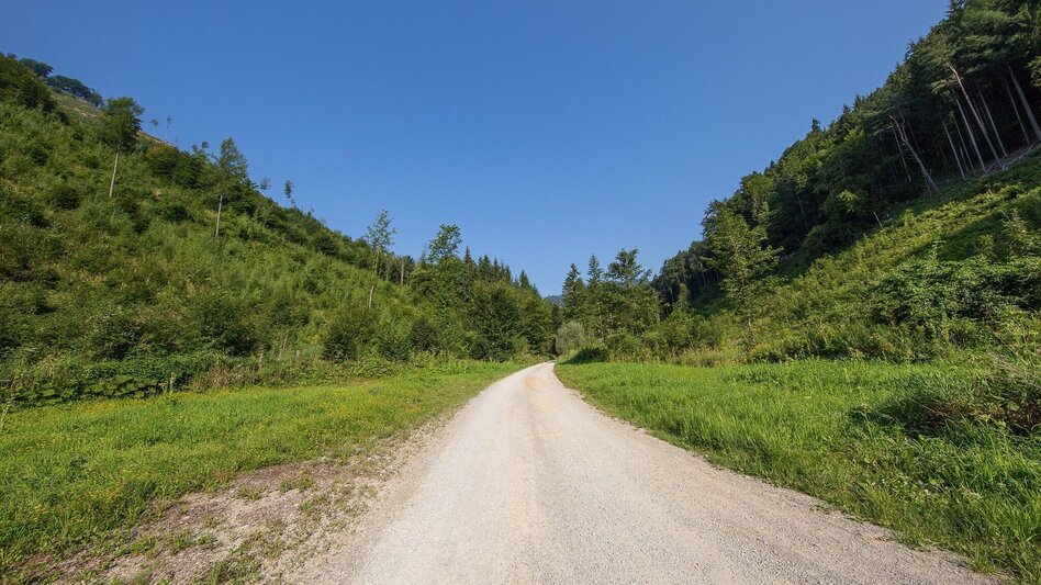Wanderung Rein ist Vergnügen - Touren-Impression #2.4 | © Region Graz
