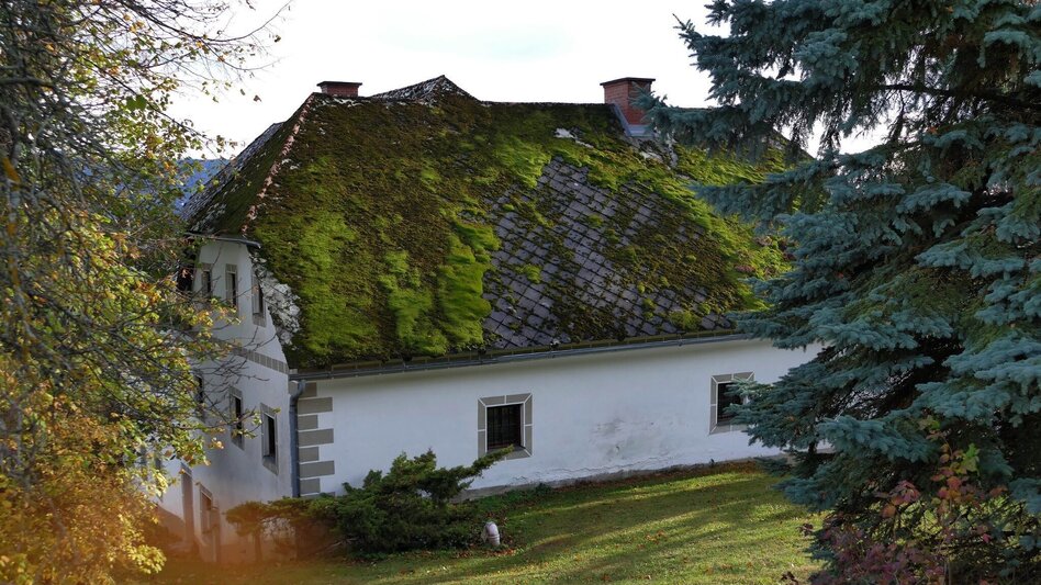 Wanderung Wanderung von Peggau über den Hochtrötsch - Touren-Impression #2.3 | © Region Graz
