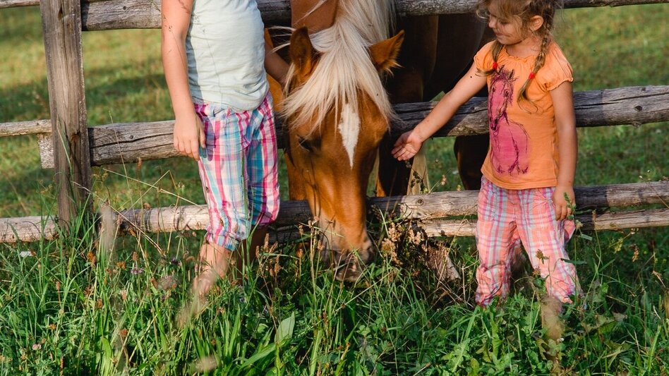 Pilgerweg Zweitägige Pilgertour durch das Grazer Bergland - Touren-Impression #2.7 | © Region Graz