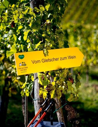 vom gletscher zum wein (teilstück)_img_25143095 | Tom Lamm | © Steiermark Tourismus