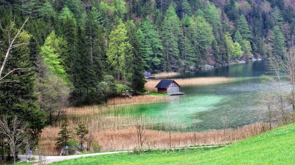 Klettersteig Rosslochhöhlen Klettersteig - Touren-Impression #2.5 | © Stadtgemeinde Eisenerz