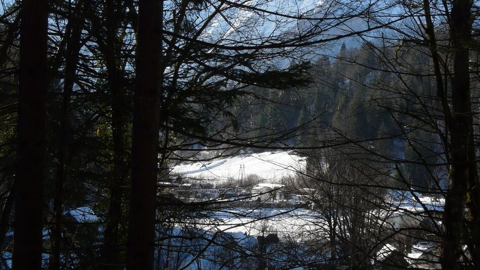 Winter Hiking Winter hike from Bad Aussee to Grundlsee - Touren-Impression #2.1 | © Ausseerland