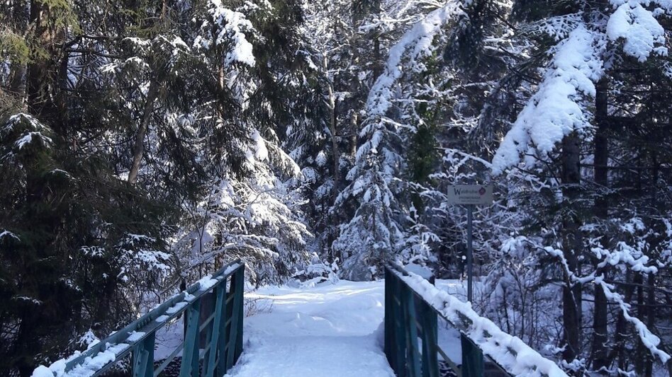 Winter Hiking Winter hike from Bad Aussee to Grundlsee - Touren-Impression #2.8 | © TVB Ausseerland - Salzkammergut/H. Rastl