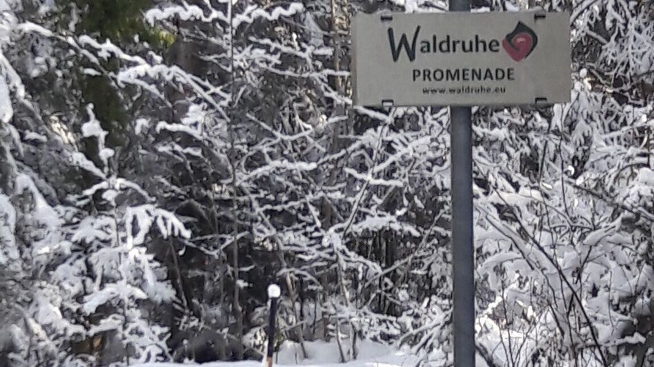 Winter Hiking Winter hike from Bad Aussee to Grundlsee - Touren-Impression #2.9 | © Ausseerland