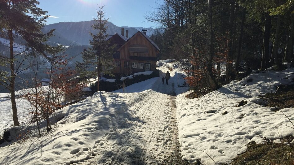 Winter Hiking Winter hike from Grundlsee to Gößl - Touren-Impression #2.2 | © Tourismusverband Ausseerland - Salzkammergut/S. Zink