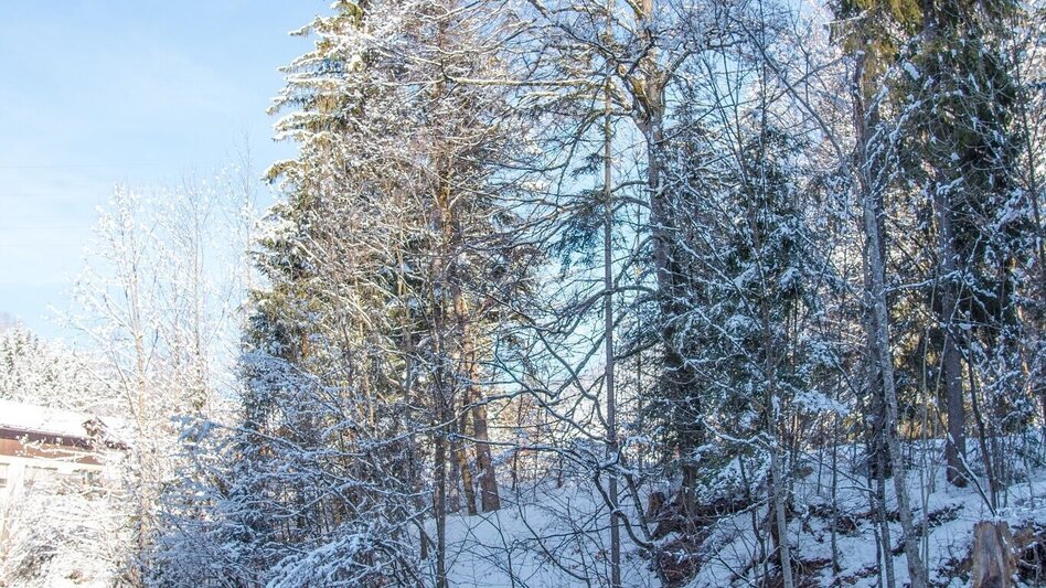 Winter Hiking Winter hike from Bad Aussee to Altaussee - Touren-Impression #2.7 | © Herbert Sams