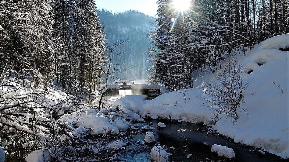 Winter Hiking Winter hike from Gössl to the Toplitzsee lake - Touren-Impression #2.3 | © Fischerhütte Toplitzsee/A. Syen
